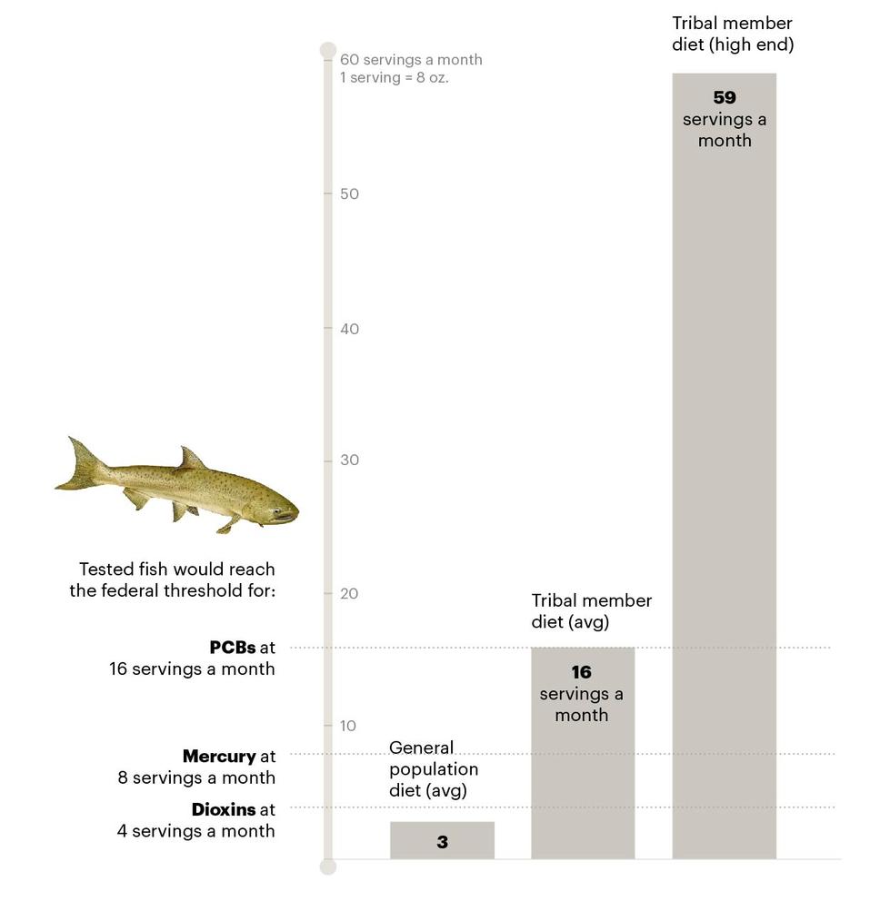 Bar graph showing average diet of fish between general population and tribal member, from 0-60 8-ounce servings per month. Gen. pop.: 3 per month; Tribal member average: 16; Tribal member high end: 59. Text: "Tested fish would reach the federal threshold for: PCBs at 16 servings/month, mercury at 8 servings/month, and dioxins at 4 servings/month."