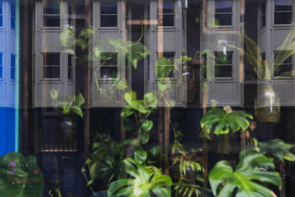 A building is reflected in a window with green plants inside
