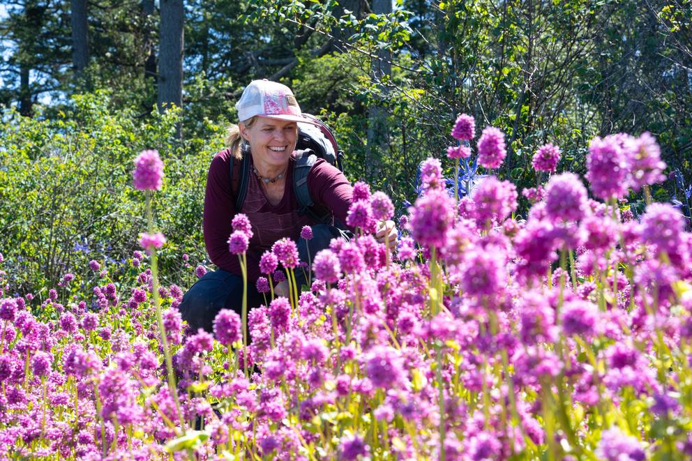 Martin smiles while looking at purple wildflowers on the island of SISȻENEM, which translates to “sitting out for pleasure of the weather.”