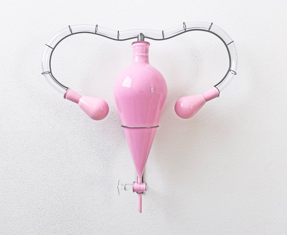 A sculpture of a pink uterus with clear tubing as the fallopian tubes