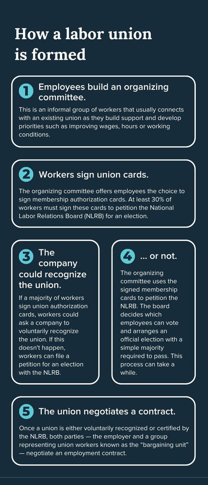 A blue info box show five steps to forming a union.