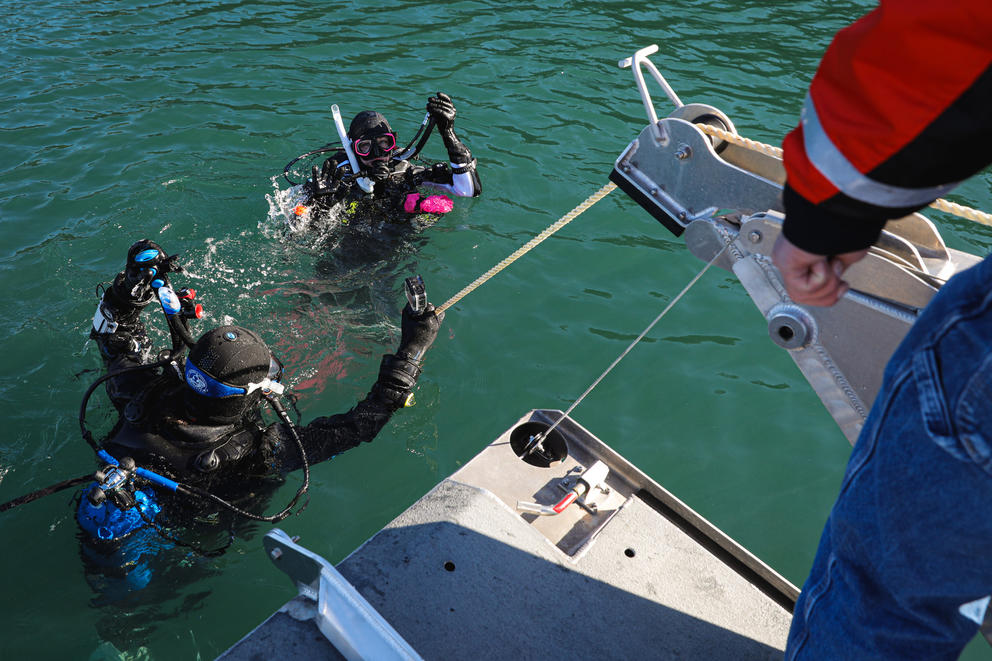 Two divers float off the edge of a boat as they start their descent under waterNatural Resources techs Jennie DeLaCruz and Charlie Donahue begin a practice dive near Guemes Island. (Genna Martin/Crosscut)