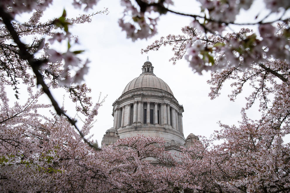 A picture of the Washington state Capitol dome in Olympia.