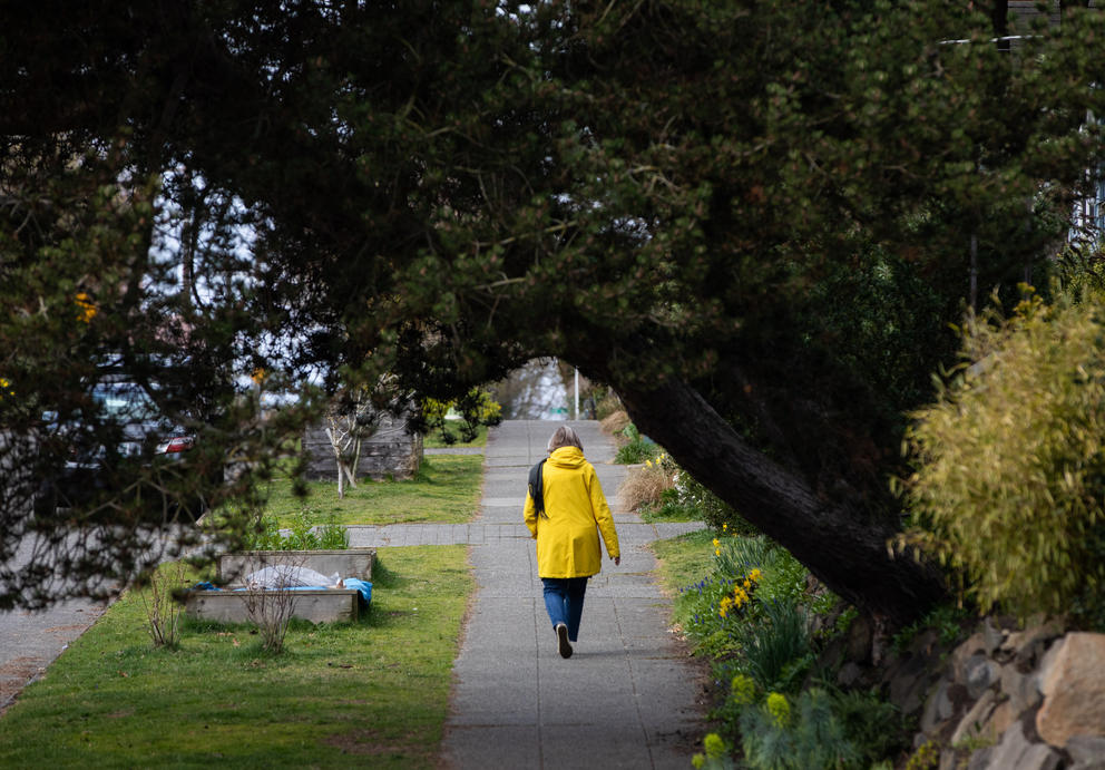 a person in a yellow coat walking on a sidewalk beneath a tree 