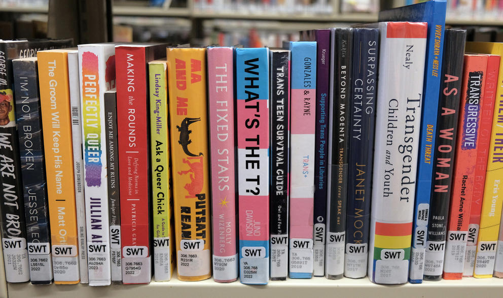 A selection of books that deal with LGBTQ+ topics lined up on a shelf.