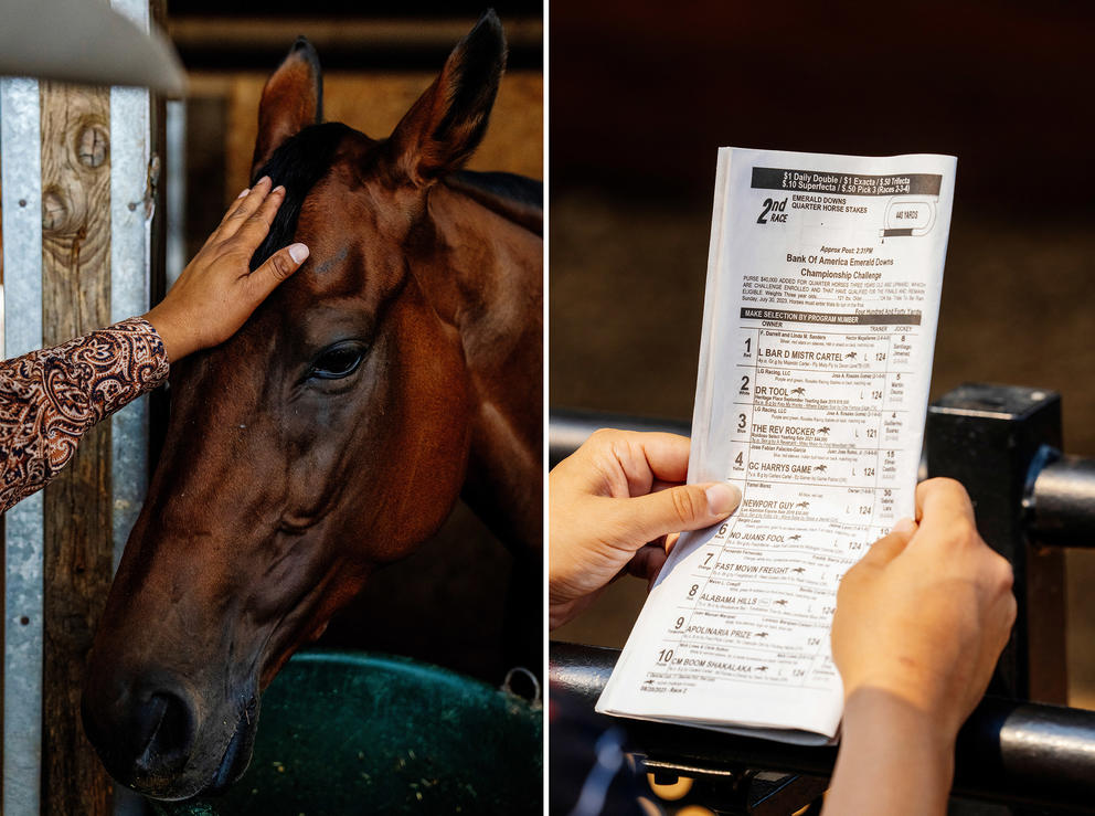 left: a horse getting pet; right: racing program