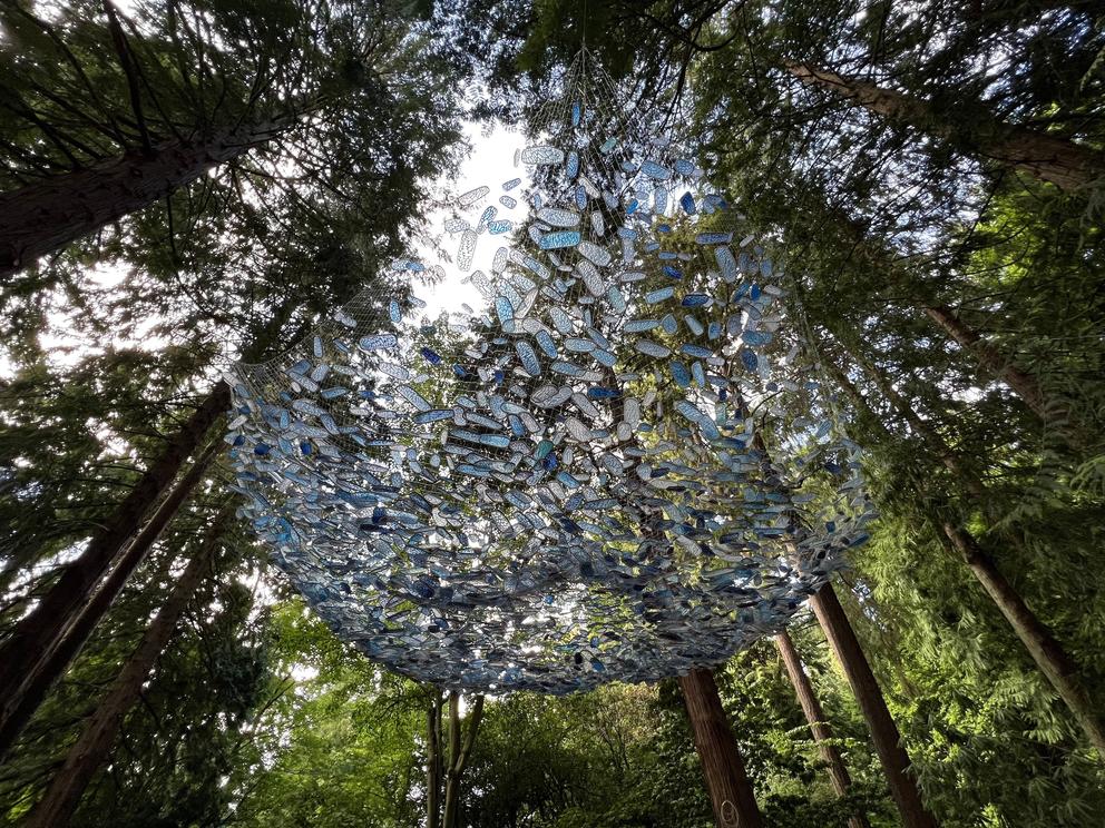 photo of a shimmery blue art installation in tall trees, seen from underneath