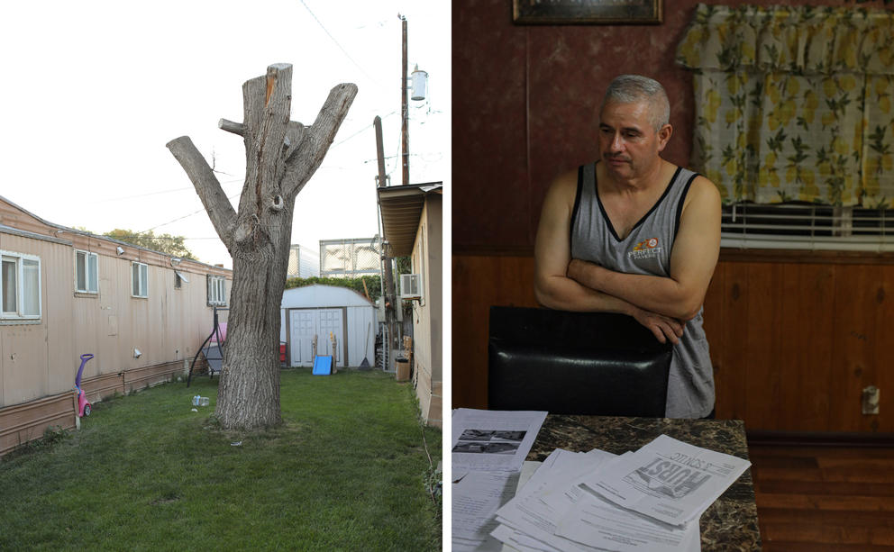 Left: A yard with green grass and a trimmed tree. Right: a man looks down at a table with paperwork and bills on it