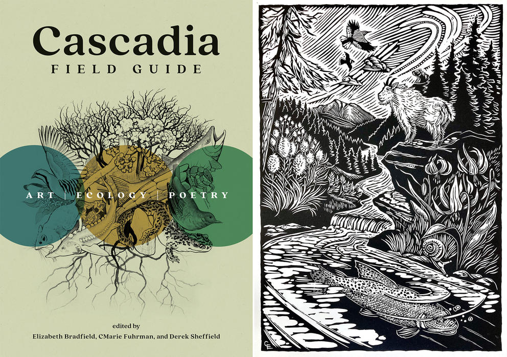 a side by side image of a book cover reading Cascadia Field guide and a black and white illustration of a nature scene