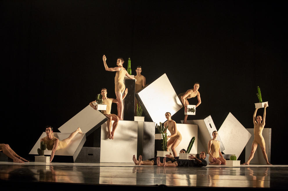 photo of a group of dancers on stage atop boxes, holding large fake cacti