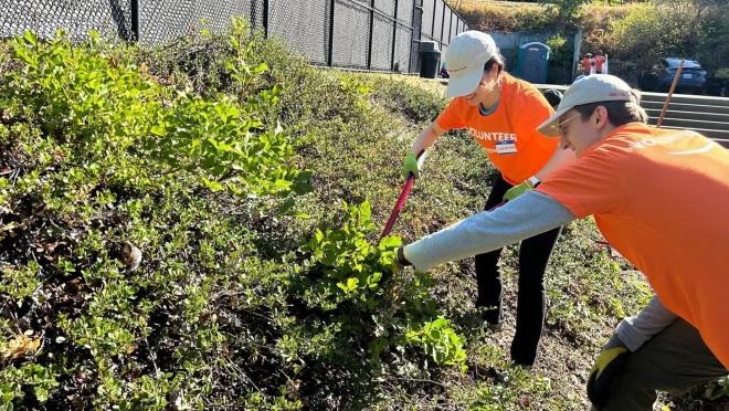 Amazon employees trim a bush at local parks