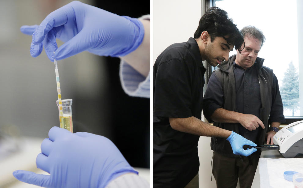 left: a close up of gloved hands dipping a test strip into a vial. Right: Student Shahroz Tariq, left, places a urinalysis test strip into a CLINITEK Status+ urine analyzer