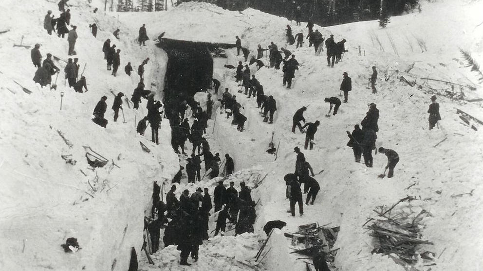 Dozens of workers digging for bodies in the snow.