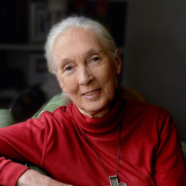 Older white woman with long, white hair pulled back into a low ponytail wears a red turtleneck, an arrow pendant necklace and is casually reclined sideways against the back of a green couch. 