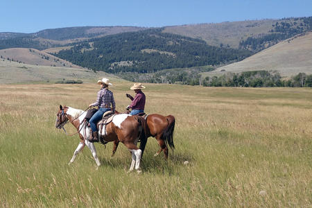 Two people on horseback during the daytime in a valley