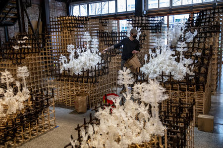 Person in gallery amid wooden towers dotted with white flowers