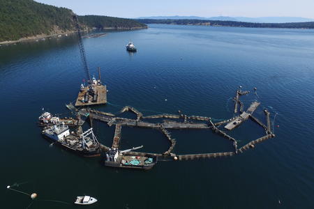 Aerial view of an open-net-pen salmon farm
