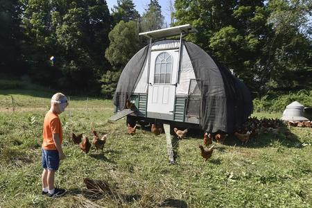 A young child looks at chickens in a field near a small trailer