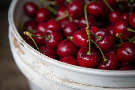 A bin full of freshly picked cherries grown in Wapato, Wash.-based Valicoff Fruit Co.'s orchard 