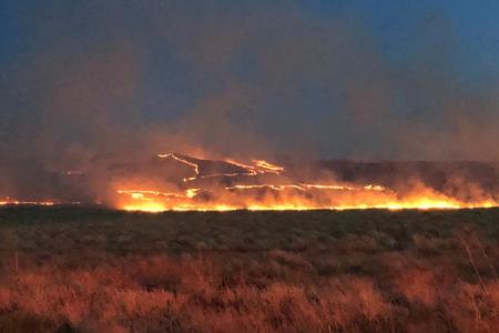 Flames burn sagebrush on the side of Rattlesnake Mountain, which was part of the Cold Creek Fire in July.