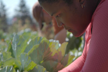 Host Alison Mariella Desir tends to the crops at Yes Farm in Seattle. 