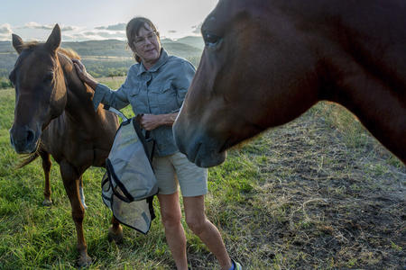 A woman pets a horse in a grassy field