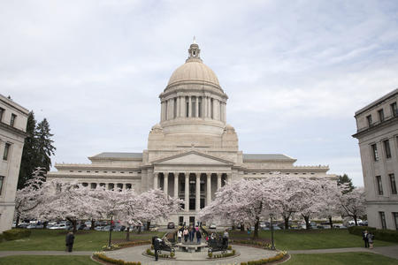 State Capitol dome flanked by blossoming cherry trees