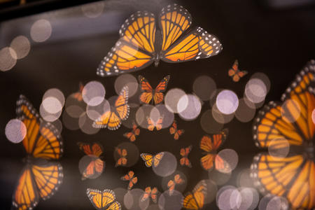 a flutter of orange monarch butterflies on a black background, lights reflected in round white dots interspersed