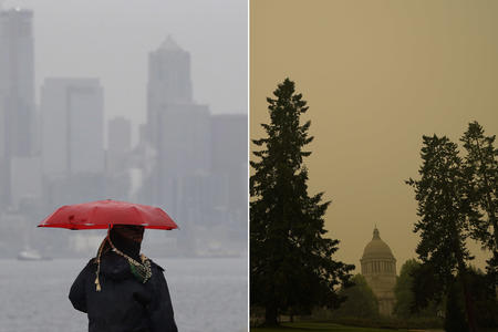 person holding pink umbrella in a smoky city, and image of trees against a smoky sky 