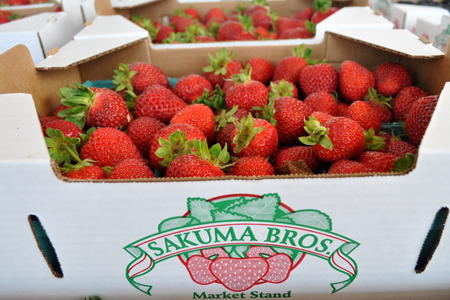 sakuma strawberries