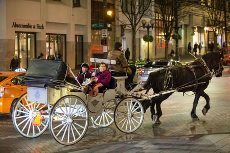 Seattle's last horse-drawn carriage. 