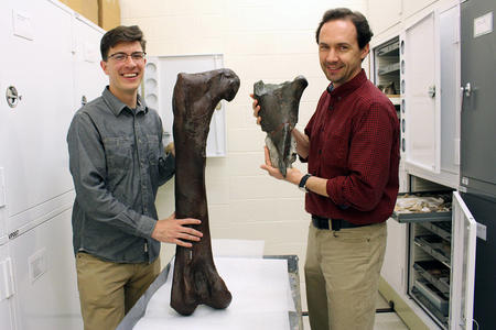 two men comparing the size of dinosaur bones.