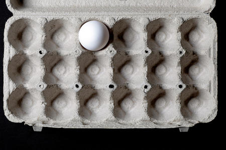 One egg in a carton.
