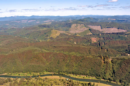 Birds-eye view of a forest with brown areas