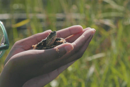 a hand with a turtle peeking out of it