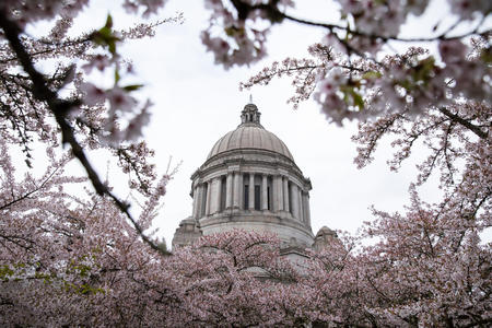 A picture of the Washington state Capitol dome in Olympia.