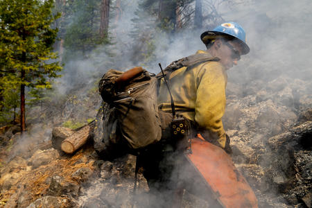 a firefighter stands in the middle of a smoky forest