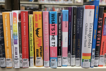 A selection of books that deal with LGBTQ+ topics lined up on a shelf.