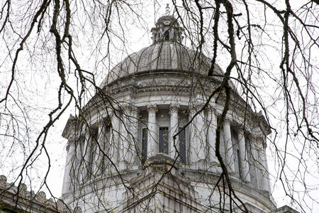A picture of the Washington State Capitol in Olympia. 