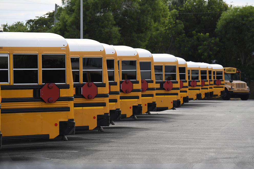 A row of school buses